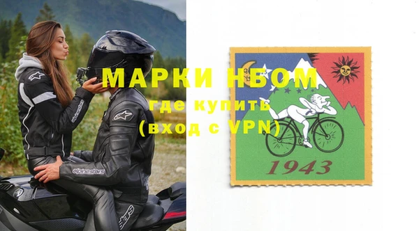 стафф Алексин