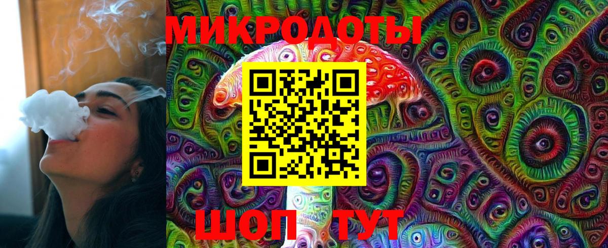 Галлюциногенные грибы Psilocybine cubensis Избербаш