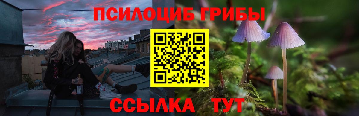 Избербаш  Галлюциногенные грибы Magic Shrooms  Вход с VPN 